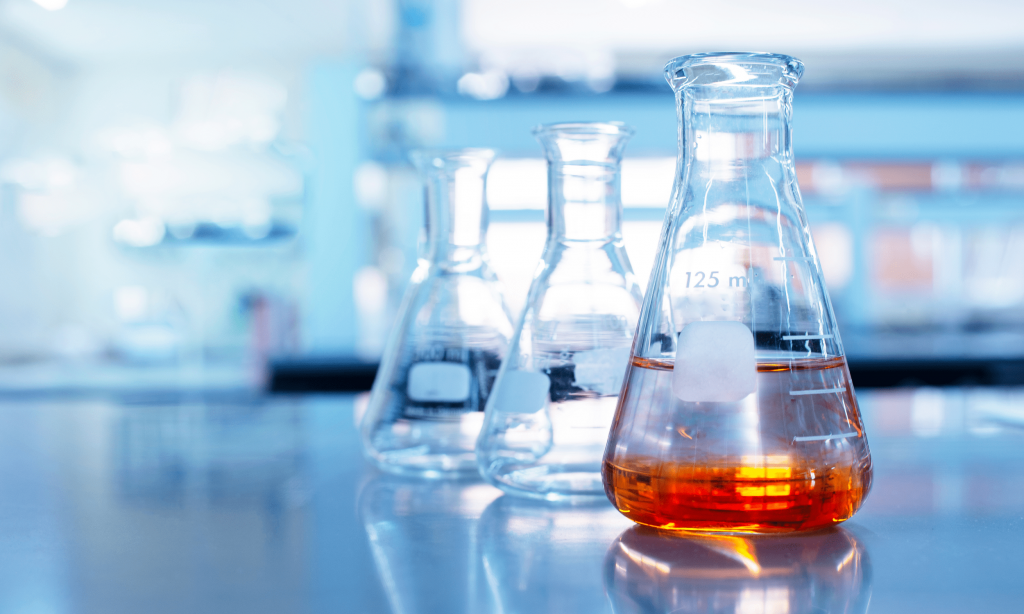 Experimentiertag für Schulklassen: Experimentiertag – Biotechnologie