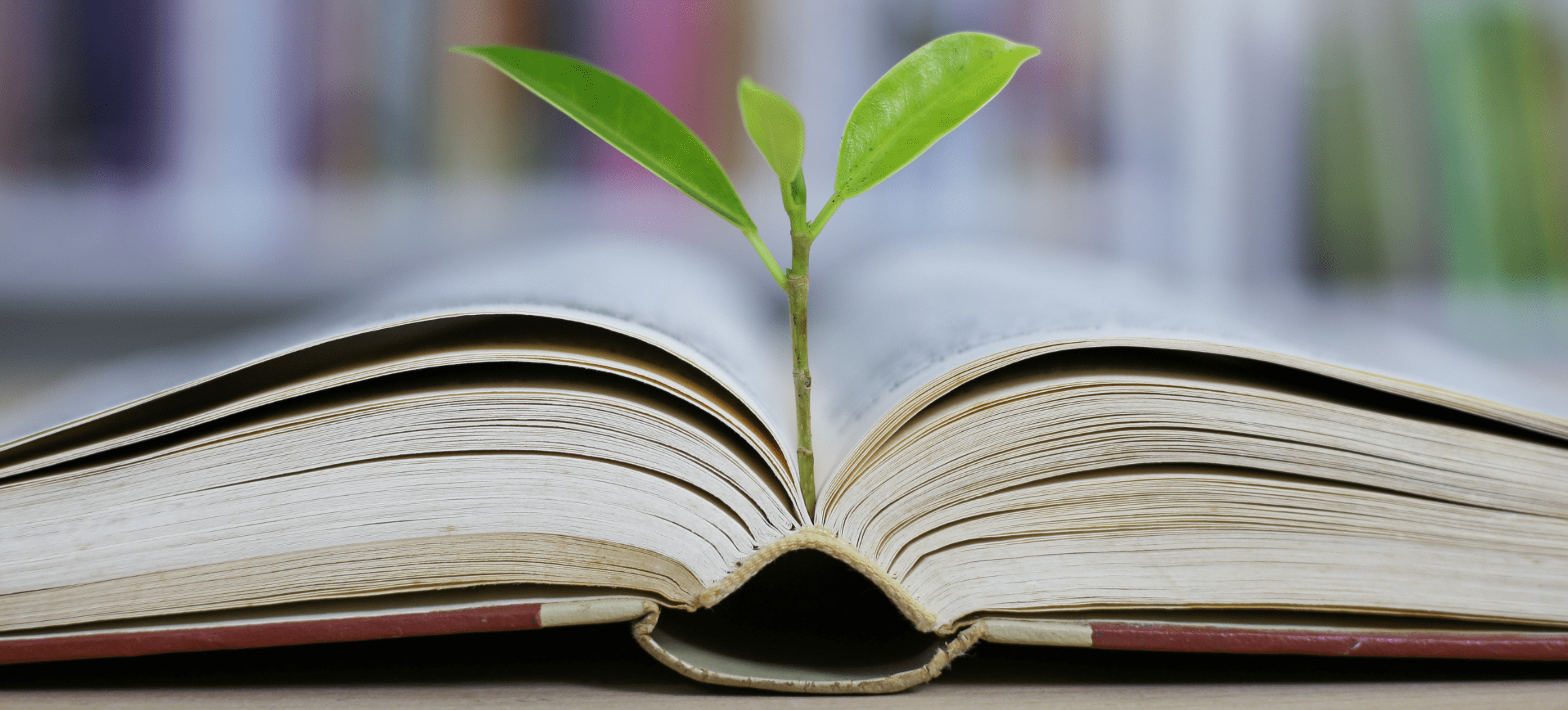 Zugänge zur MINT-Bildung nachhaltig gestalten